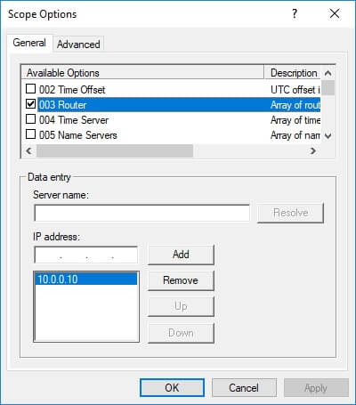 DHCP Options Router Gateway ve DNS sunucu yapılandırması