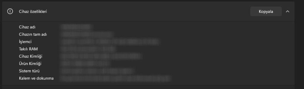 Windows 11 ayarlar ekranında cihaz kimliği ve bilgisayar adı bulma adımları